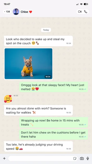 WhatsApp Chat Animation AI motion template preview